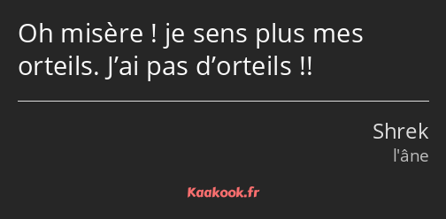 Oh misère ! je sens plus mes orteils. J’ai pas d’orteils !!