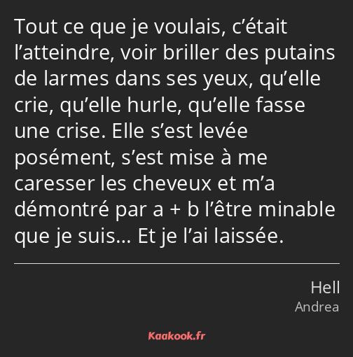 Tout ce que je voulais, c’était l’atteindre, voir briller des putains de larmes dans ses yeux…