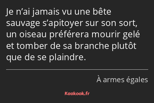 Je n’ai jamais vu une bête sauvage s’apitoyer sur son sort, un oiseau préférera mourir gelé et…