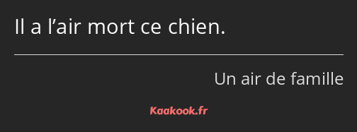 Il a l’air mort ce chien.