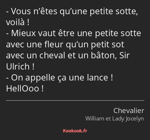 Vous n’êtes qu’une petite sotte, voilà ! Mieux vaut être une petite sotte avec une fleur qu’un…