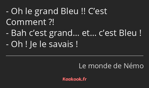 Oh le grand Bleu !! C’est Comment ?! Bah c’est grand… et… c’est Bleu ! Oh ! Je le savais !