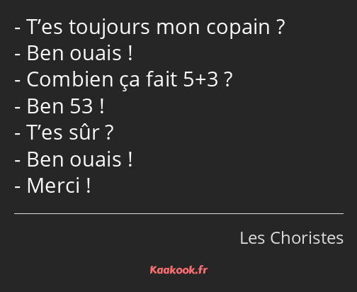 T’es toujours mon copain ? Ben ouais ! Combien ça fait 5+3 ? Ben 53 ! T’es sûr ? Ben ouais ! Merci !