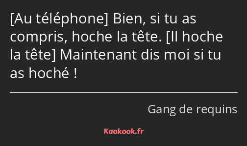  Bien, si tu as compris, hoche la tête. Maintenant dis moi si tu as hoché !