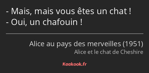 Mais, mais vous êtes un chat ! Oui, un chafouin !