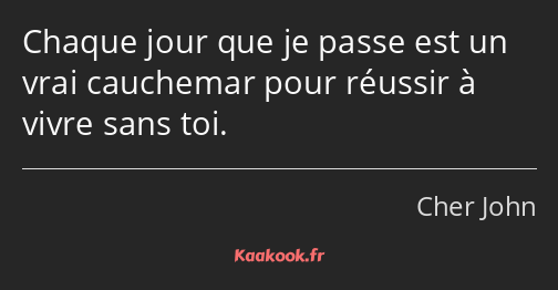 Chaque jour que je passe est un vrai cauchemar pour réussir à vivre sans toi.