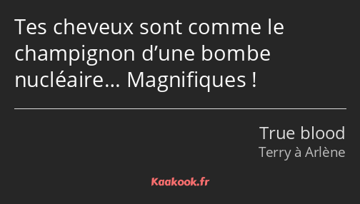 Tes cheveux sont comme le champignon d’une bombe nucléaire… Magnifiques !