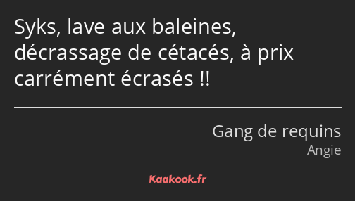 Syks, lave aux baleines, décrassage de cétacés, à prix carrément écrasés !!