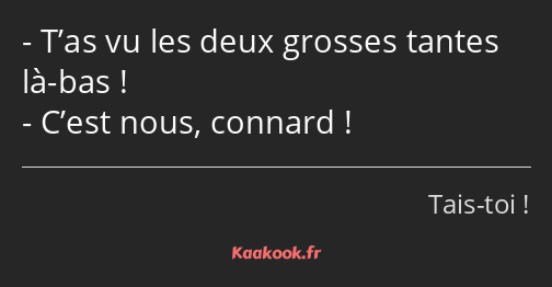 T’as vu les deux grosses tantes là-bas ! C’est nous, connard !