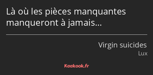 Là où les pièces manquantes manqueront à jamais…