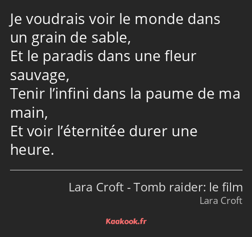 Je voudrais voir le monde dans un grain de sable, Et le paradis dans une fleur sauvage, Tenir…