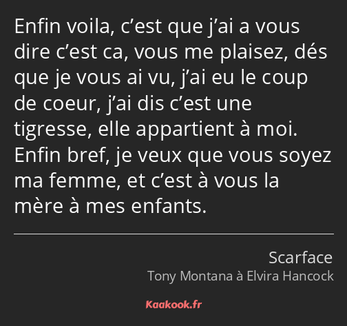 Enfin voila, c’est que j’ai a vous dire c’est ca, vous me plaisez, dés que je vous ai vu, j’ai eu…