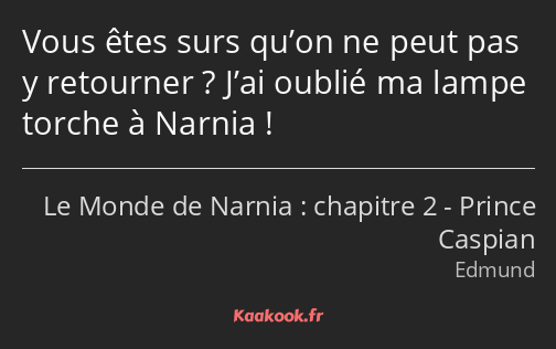 Vous êtes surs qu’on ne peut pas y retourner ? J’ai oublié ma lampe torche à Narnia !