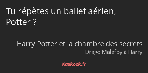 Tu répètes un ballet aérien, Potter ?