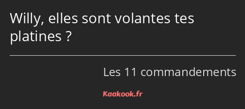 Willy, elles sont volantes tes platines ?