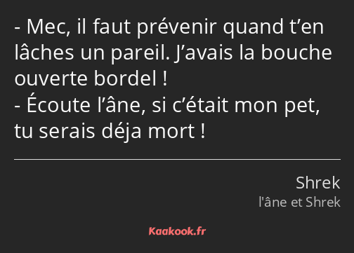 Mec, il faut prévenir quand t’en lâches un pareil. J’avais la bouche ouverte bordel ! Écoute l’âne…