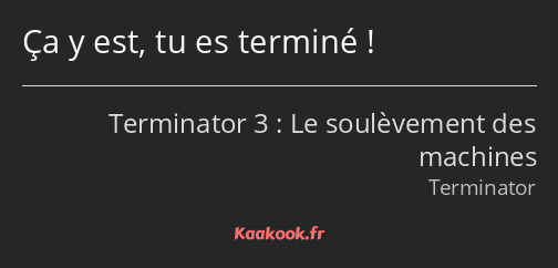 Ça y est, tu es terminé !