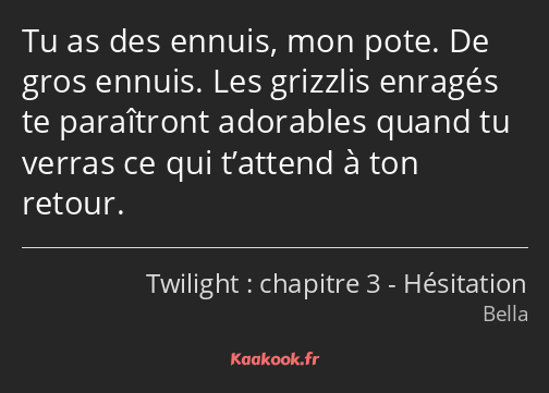 Tu as des ennuis, mon pote. De gros ennuis. Les grizzlis enragés te paraîtront adorables quand tu…