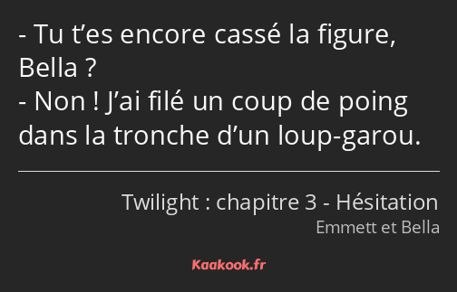 Tu t’es encore cassé la figure, Bella ? Non ! J’ai filé un coup de poing dans la tronche d’un loup…