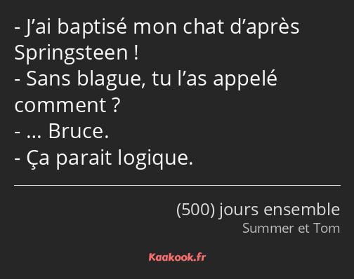 J’ai baptisé mon chat d’après Springsteen ! Sans blague, tu l’as appelé comment ? … Bruce. Ça…