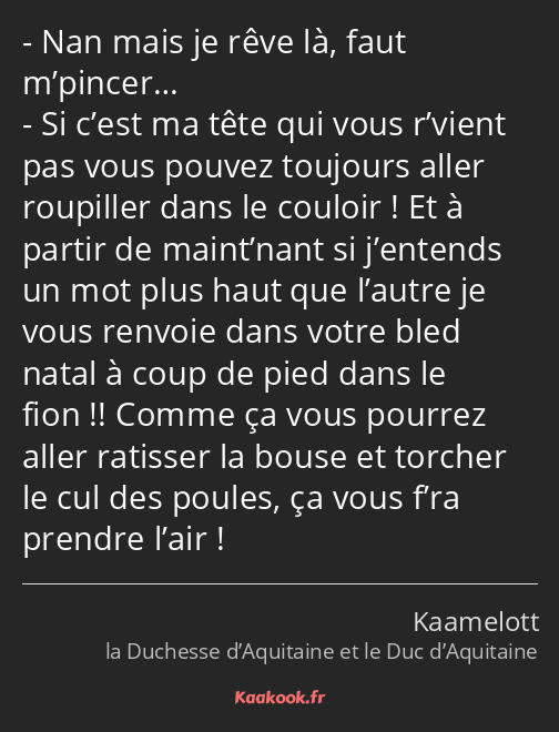 Nan mais je rêve là, faut m’pincer… Si c’est ma tête qui vous r’vient pas vous pouvez toujours…