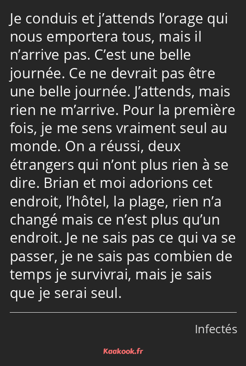 Je conduis et j’attends l’orage qui nous emportera tous, mais il n’arrive pas. C’est une belle…