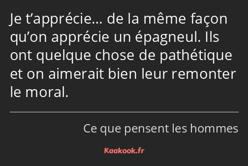 Je t’apprécie… de la même façon qu’on apprécie un épagneul. Ils ont quelque chose de pathétique et…