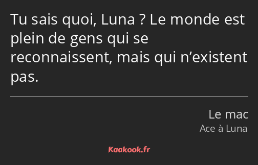 Tu sais quoi, Luna ? Le monde est plein de gens qui se reconnaissent, mais qui n’existent pas.