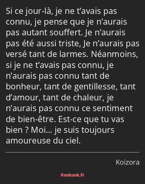 Si ce jour-là, je ne t’avais pas connu, je pense que je n’aurais pas autant souffert. Je n’aurais…