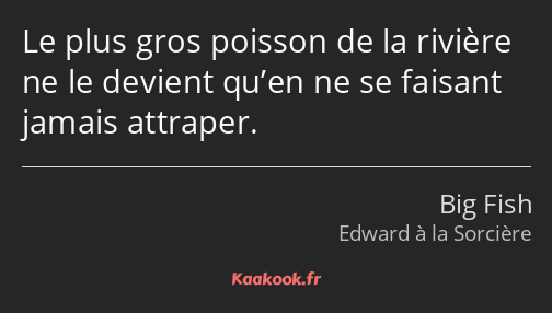 Le plus gros poisson de la rivière ne le devient qu’en ne se faisant jamais attraper.