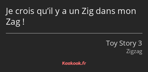 Je crois qu’il y a un Zig dans mon Zag !