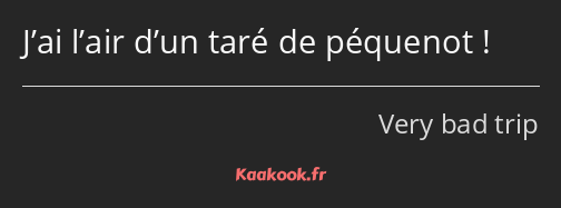 J’ai l’air d’un taré de péquenot !