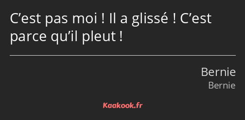 C’est pas moi ! Il a glissé ! C’est parce qu’il pleut !