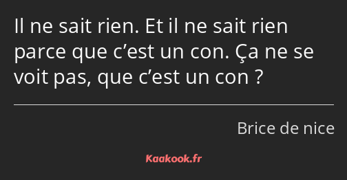 Il ne sait rien. Et il ne sait rien parce que c’est un con. Ça ne se voit pas, que c’est un con ?