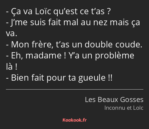 Ça va Loïc qu’est ce t’as ? J’me suis fait mal au nez mais ça va. Mon frère, t’as un double coude…